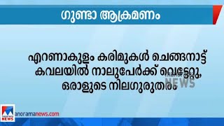 ഗുണ്ടാ ആക്രമണം; നാലുപേര്‍ക്ക് വെട്ടേറ്റു; ഒരാളുടെ നില ഗുരുതരം | Goonda Attack