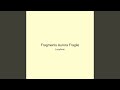 Fragments Aurora Fragile