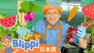 のうじょうにいこう | Blippi 日本語 - 幼児向け教育動画