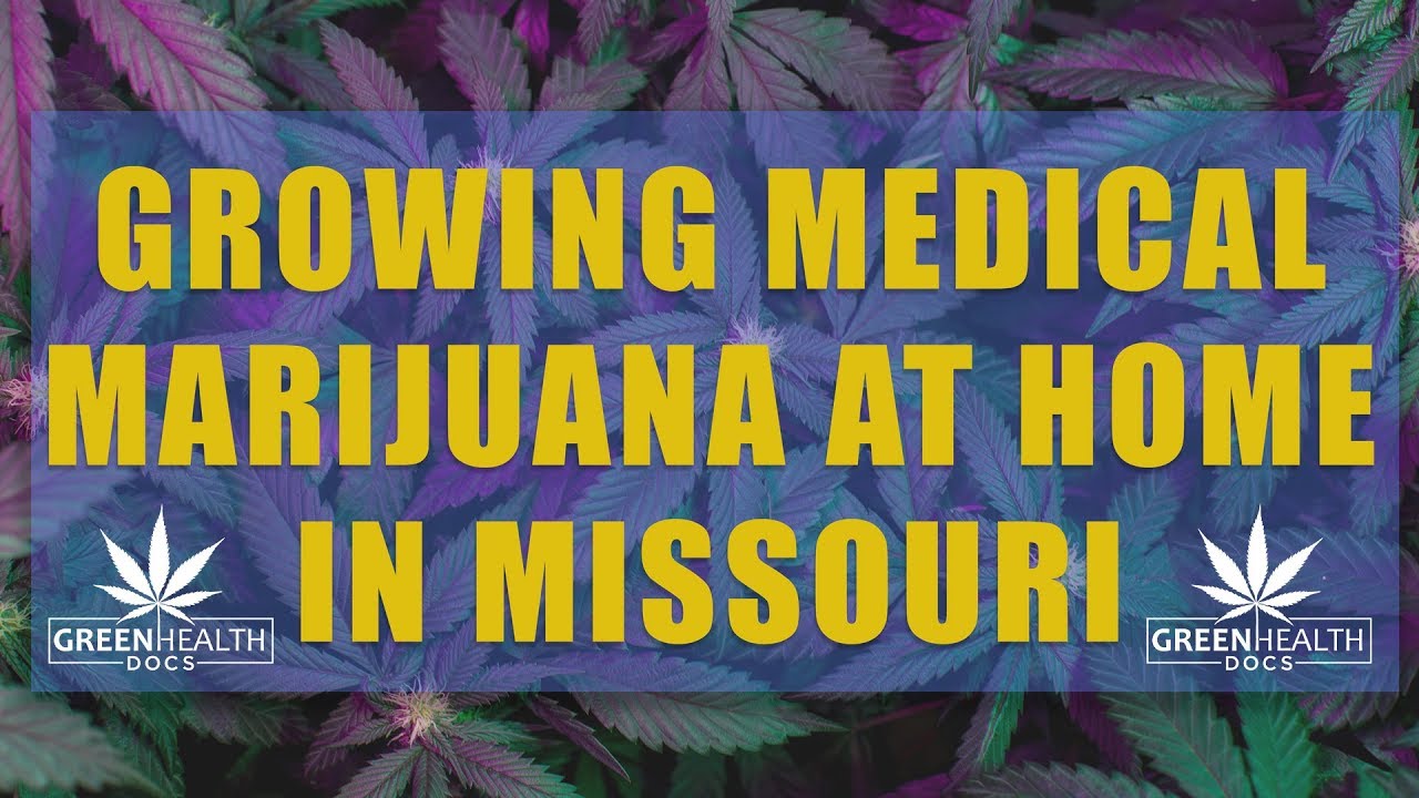 Missouri Rules For Growing Medical Marijuana At Home - YouTube