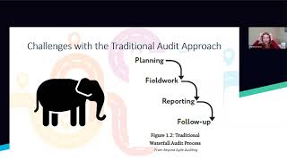 Beyond Agile Auditing: Fireside Chat for Auditors