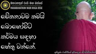 චේතනාව තමයි කර්මය සඳහා හේතු වන්නේ | Ven. Rajagiriye Ariyagnana Thero | Maharahathun Wadi Maga osse