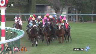 チャレンジカップ 2015(1800m)THE CHALLENGE CUP 2015