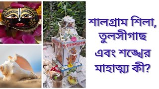 শালগ্রাম শিলা, তুলসীগাছ এবং শঙ্খের মাহাত্ম্য কী?? #spirituality #narayan #krishna #tulsi #radha