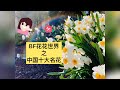 中国十大名花，ten famous flowers in china