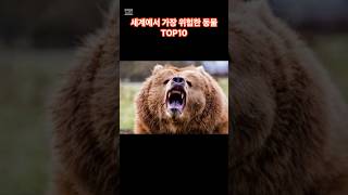 세계에서 가장 위험한 동물 TOP10 #유튜브쇼츠 #이슈 #쇼츠 #best