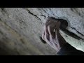 Daniel Woods Climbs “The Process” (8c+/V16) In Bishop