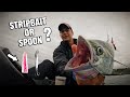 When lures don't work - STRIPBAIT or SPOON? // Kayak Fishing  SOUTH AFRICA // PART 1