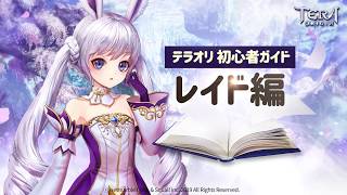 【TERA ORIGIN】攻略ガイド_レイド編