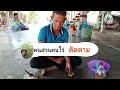 ทำหัวเชื้อน้ำหมัก สามารถนำไปขยาย เป็นสูตรต่างๆได้ เร่งต้น เร่งดอก สูตรไล่แมลง