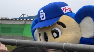 2025.02.06 ドアラの高柵グリ