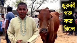 ভাই গরু কত নিলো ২০২৫ | বিক্রি হওয়া গরুর দাম জানুন মিরশান্নী হাট থেকে | গরুর হাট ২০২৫ |