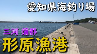 愛知県堤防釣り場 三河湾 蒲郡 形原漁港 サビキ釣り ヒイカ 根魚釣り チヌ釣り エギング アジング ジギング MANCING MANIA JAPAN