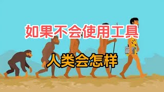 人类进化, 物竞天择, 史前人类, 人类学, 科学揭秘, 进化之谜, 人类历史, 智人, 直立猿, 灵长类进化