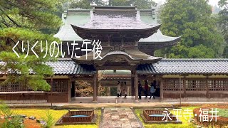 北陸の旅 #04/最終日は永平寺へ/生憎の雨でしたがまたよかったです/フランスと横浜ベイスターズを愛するアラ還マダム