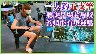 【釣蝦小益思】聽說早場釣蝦都大爆釣  那怎麼可能不來試試看  #釣蝦 #i呀我的蛋 #新潮釣蝦場 Shrimp fishing  エビ釣り  새우 낚시