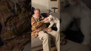 5 month old puppy reprimands dad for leaving him for 4 hours