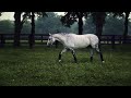 Imagine Dragons - The Megamix #2 || Equestrian Music Video