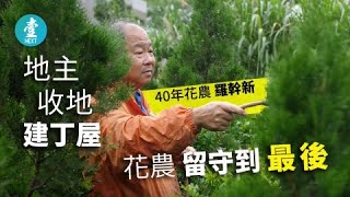 香園圍口岸變天3 地主收地建丁屋 花農留守到最後 #壹仔專題 －壹週刊 Next 原刊日期：20190708