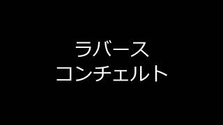 ラバースコンチェルト　合奏