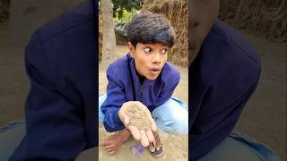 Beta Mitti Nahi Khate 🤣 #shorts #comedy #viral #trending