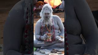 Today's best Naga sadhu l##kumbh #prayagraj #kumbhmela #nagasadhu