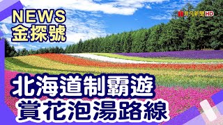 日本名花大賞 |北海道薰衣草 富田農場 美瑛四季彩之丘 小樽 小樽運河Hotel Torifito Otaru Canal 奈良九品寺彼岸花【News金探號】