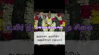 கண்ணிருந்தும் காணாது மூக்கிருந்தும் முகறாது வாய் பேசாது அசையாது - என்ன மந்திரம் கேளாத காதில் சங்கு!