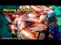 Luar Biasa! Mancing Kakap Merah di Rumpon Tidak Ada Habisnya!