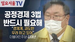 공정경제 3법 반드시 필요해, 김태년 \