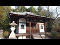 【西恩寺参拝】思わずうっとり！！美しすぎる紅葉に染まる西恩寺！