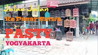 PASAR SATWA PASTY JOGJA ll PASAR SATWA TERLENGKAP