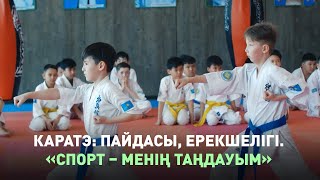 Каратэ: пайдасы, ерекшелігі. «Спорт – менің таңдауым»