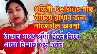 0ডিগ্রী Celsius গাছ বাঁচিয়ে রাখার জন্য নাজেহাল অবস্থা/ঠান্ডার মধ্যে স্বামী কিনে নিয়ে এলো বিশাল বড়