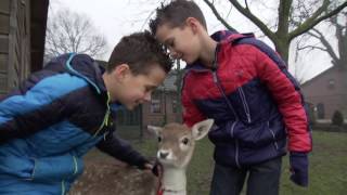 Hert Spikkel is opgevoed door Joep en Tim