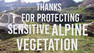 2 Ways to Protect Alpine Environments When Backpacking