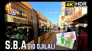 Sid Djilali🌅découverte d’un marché local 🌞16°, EURO 251DA #270 #sidibelabbes #dz #سيدي_بلعباس