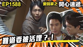 愛．回家之開心速遞 | 第1588集（加長版精華）| 難道要被活埋？！