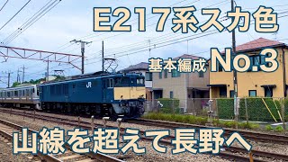 E217系 Y-3編成 廃車回送 EF64-1030号機と共に長野へ