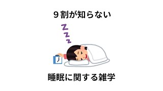 【睡眠】9割が知らない睡眠の雑学13選！知るだけで差がつく睡眠の知識！【睡眠の雑学】