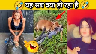 बेवकूफो की कारनामा  funny video 😂🤣 part 22 #funny #comedy #papakipari #viral#facts #hindi #trending