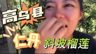 第一次到仁丹上霹雳斜坡榴莲园 体验感很不错｜包夫人vlog |1st time visiting the durian orchard in Klian Intan,Perak Malaysia