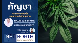 กัญชา กับผลกระทบต่อสุขภาพเด็กและเยาวชน : NBT North