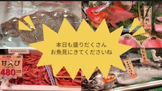 5月27日金曜日　明石直送鮮魚入荷してます