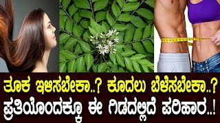 ಈ ಎಲೆ ನಿಮ್ಮ ಆರೋಗ್ಯಕ್ಕೆ ಎಷ್ಟು ಅಗತ್ಯಾ ಗೊತ್ತಾ..? Surprising health benefits of curry leaves/ M2