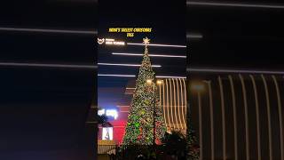 India’s Tallest Christmas Tree in Bangalore #shorts #reels #christmas