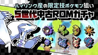 【ポケモン】限定技ハイリンク産のための中古ROMガチャ（第１回）【5世代】