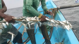 குறைந்த வலையில் நிறைய மீன்கள் பிடிபட்டது/Lots of fish caught in the lower net