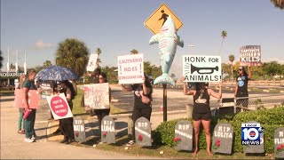 Protesters stand outside Miami Seaquarium