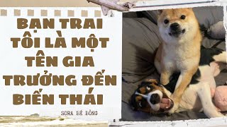 [Truyện Audio ] [FULL] BẠN TRAI TÔI LÀ MỘT TÊN GIA TRƯỞNG ĐẾN BIẾN THÁI || Sora Bé Bỏng